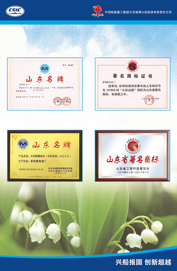 淄博火炬能源有限責(zé)任公司